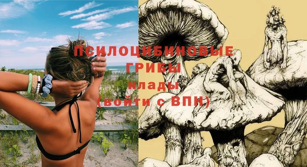 мдпв Белокуриха